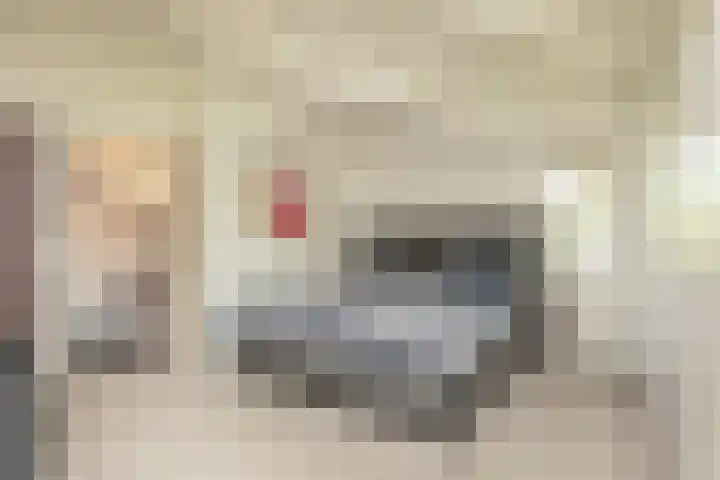 Scholeksterlaan 70 Sneek thumbnail 27