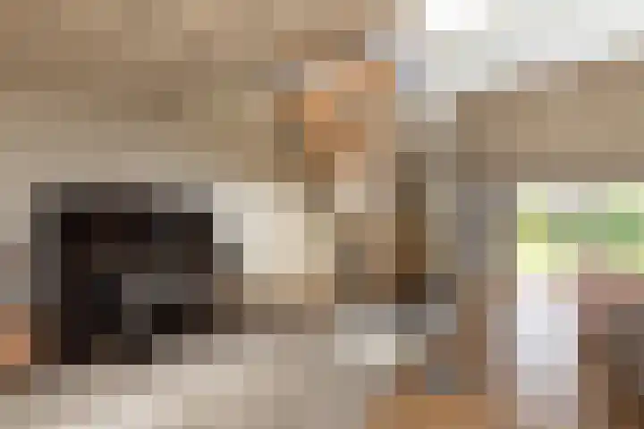 Scholeksterlaan 70 Sneek thumbnail 31
