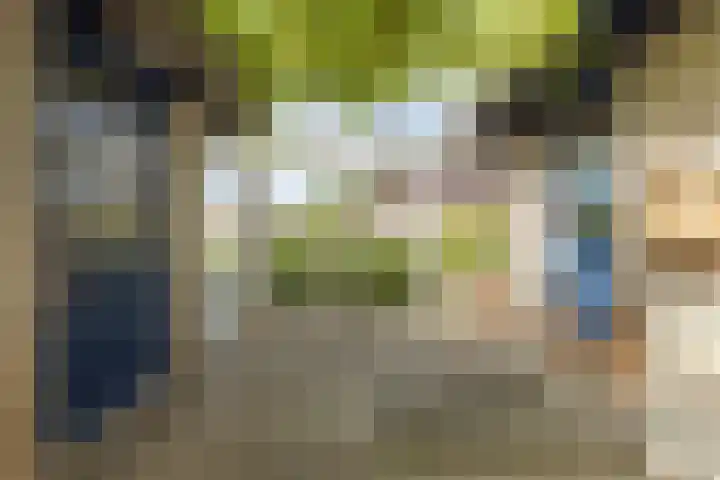 Scholeksterlaan 70 Sneek thumbnail 37