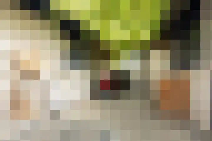 Scholeksterlaan 70 Sneek thumbnail 38