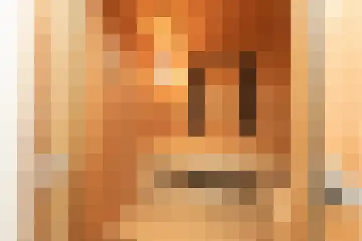 Scholeksterlaan 70 Sneek thumbnail 43