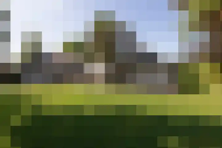 Scholeksterlaan 70 Sneek thumbnail 44