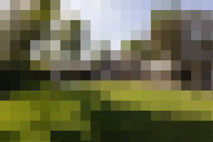 Scholeksterlaan 70 Sneek thumbnail 45