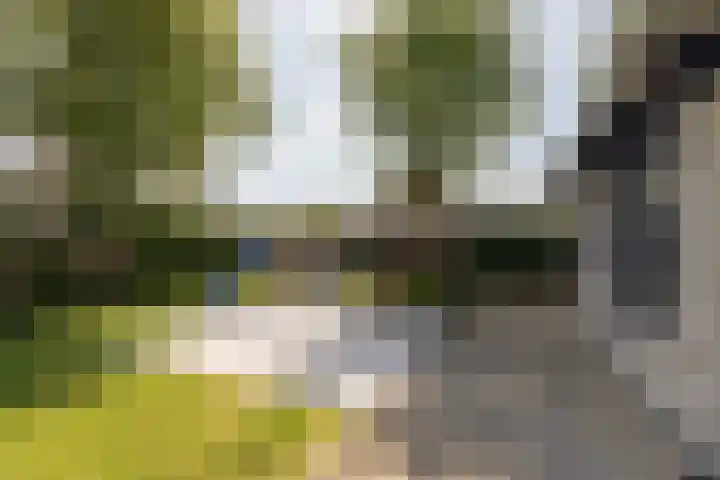 Scholeksterlaan 70 Sneek thumbnail 46