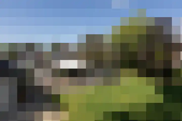 Scholeksterlaan 70 Sneek thumbnail 47