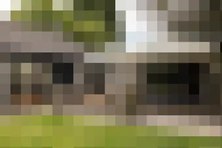 Scholeksterlaan 70 Sneek thumbnail 48