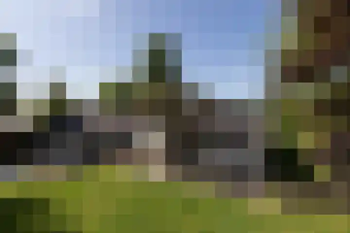 Scholeksterlaan 70 Sneek thumbnail 49