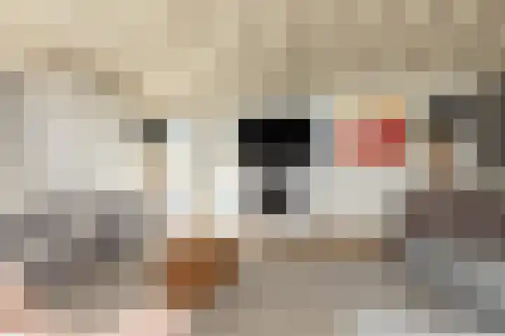 Scholeksterlaan 70 Sneek thumbnail 5