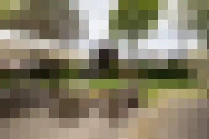 Scholeksterlaan 70 Sneek thumbnail 50
