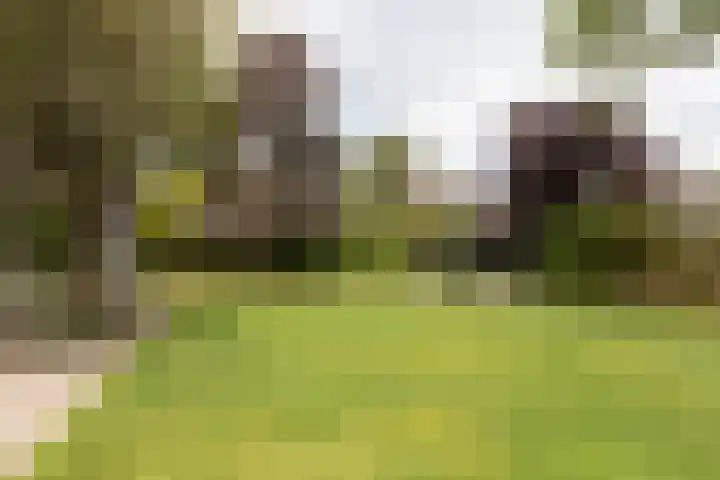Scholeksterlaan 70 Sneek thumbnail 51