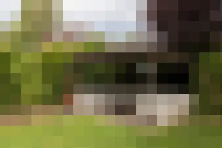 Scholeksterlaan 70 Sneek thumbnail 52