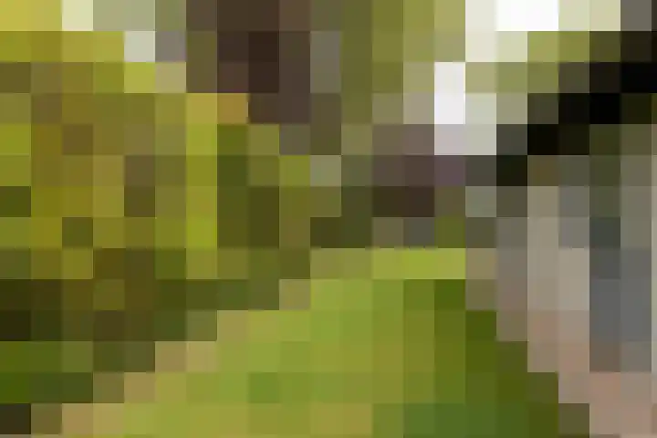 Scholeksterlaan 70 Sneek thumbnail 53
