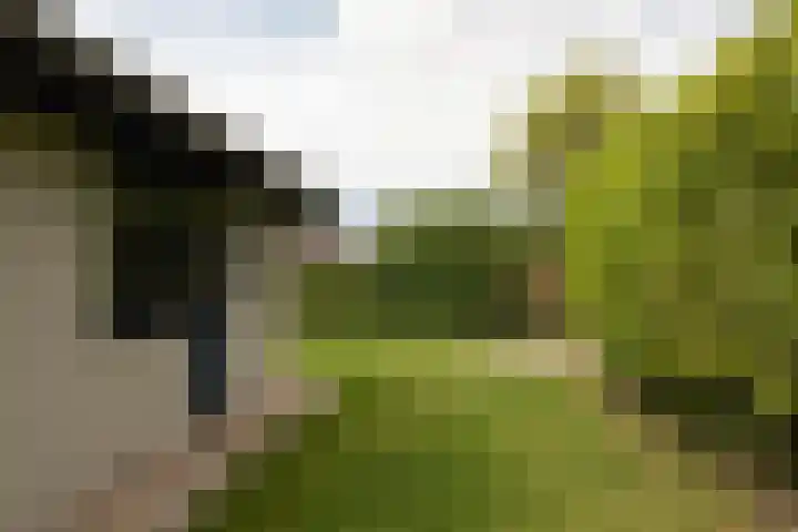 Scholeksterlaan 70 Sneek thumbnail 54