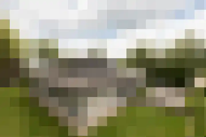 Scholeksterlaan 70 Sneek thumbnail 55