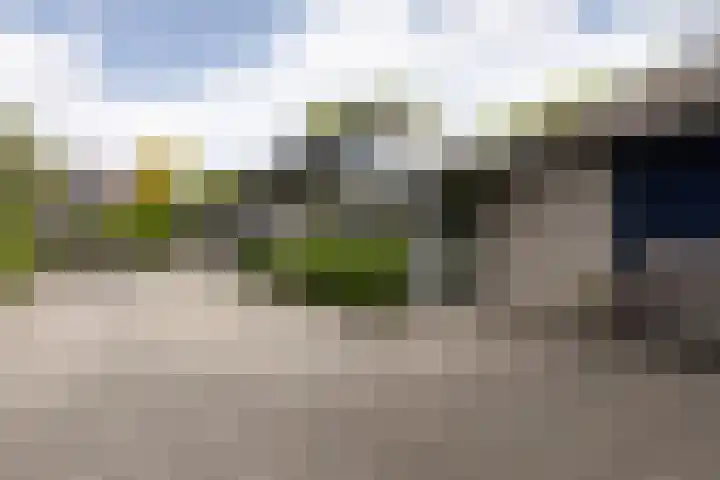 Scholeksterlaan 70 Sneek thumbnail 56
