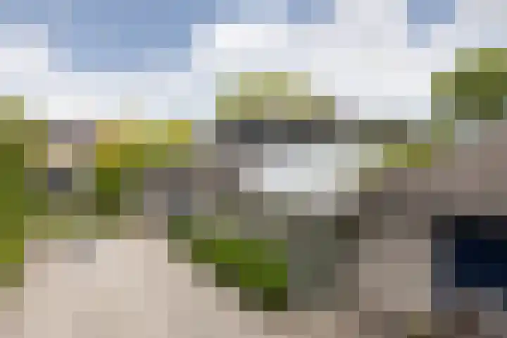 Scholeksterlaan 70 Sneek thumbnail 57