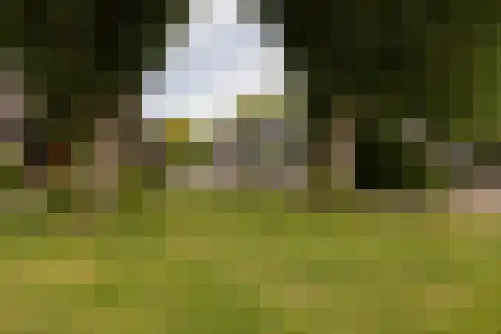 Scholeksterlaan 70 Sneek thumbnail 58