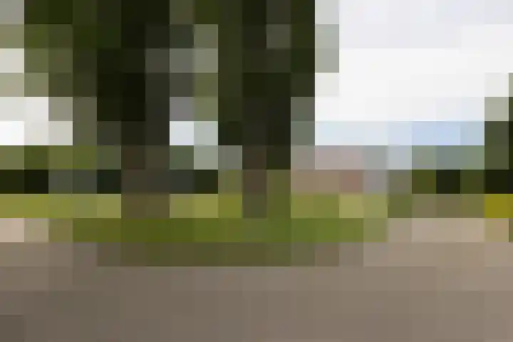 Scholeksterlaan 70 Sneek thumbnail 59