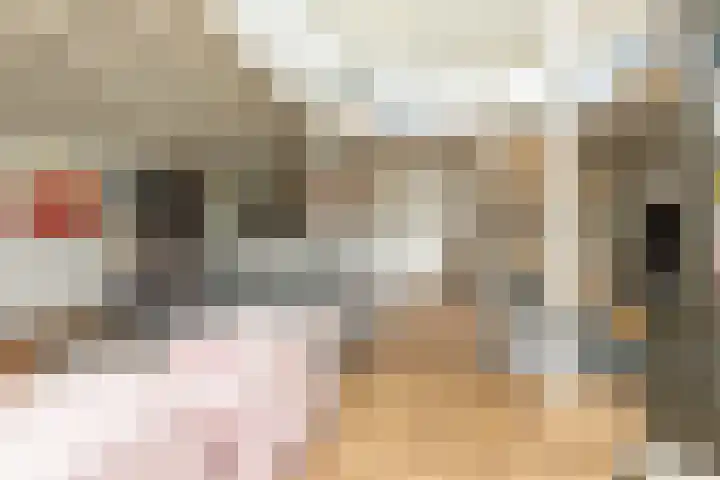 Scholeksterlaan 70 Sneek thumbnail 6