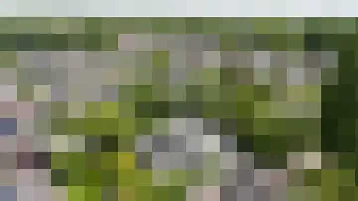 Scholeksterlaan 70 Sneek thumbnail 60