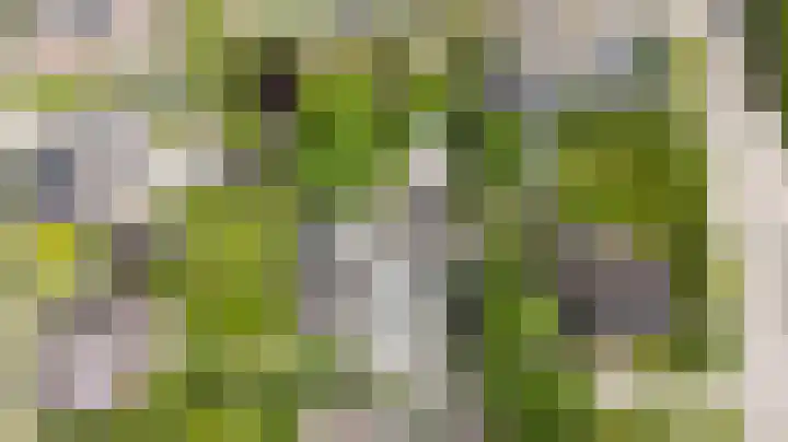 Scholeksterlaan 70 Sneek thumbnail 61