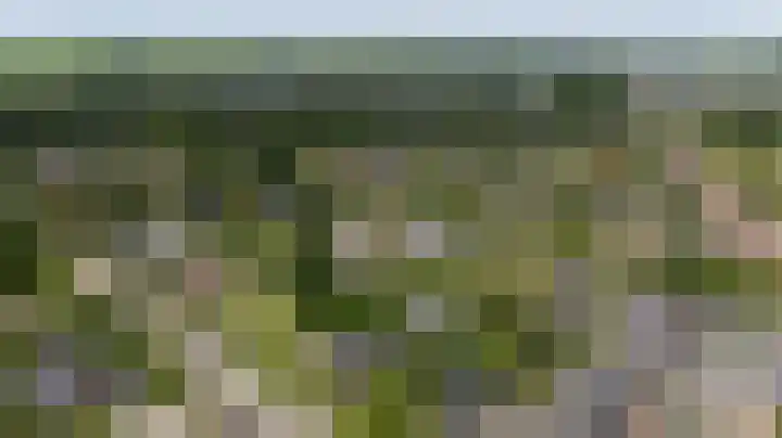 Scholeksterlaan 70 Sneek thumbnail 62