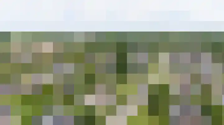 Scholeksterlaan 70 Sneek thumbnail 63