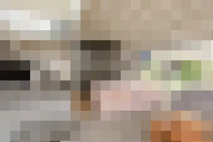 Scholeksterlaan 70 Sneek thumbnail 8