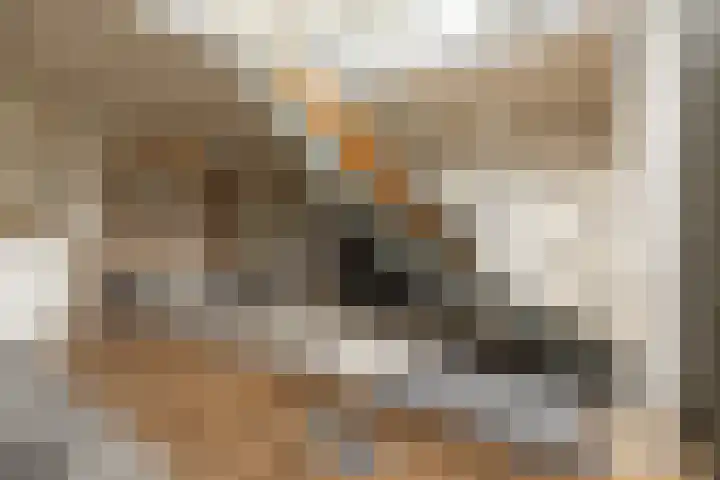 Scholeksterlaan 70 Sneek thumbnail 9