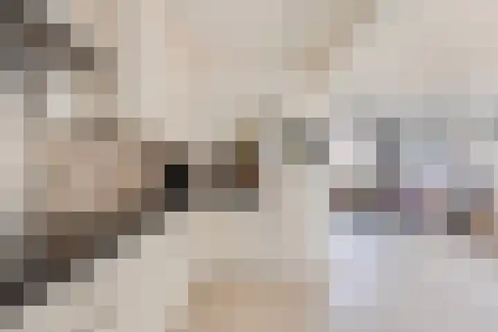Scholeksterlaan 8 Wieringerwaard thumbnail 17