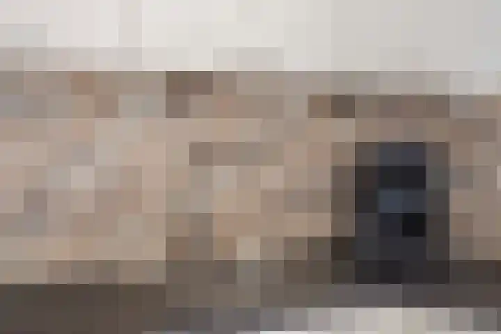 Scholeksterlaan 8 Wieringerwaard thumbnail 18