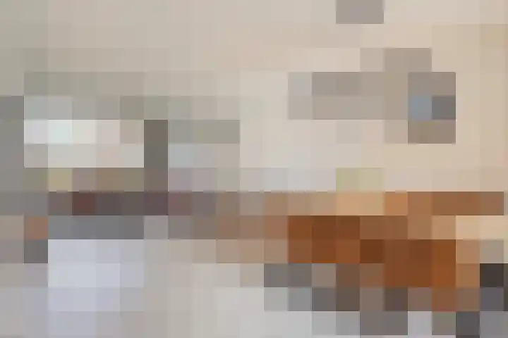 Scholeksterlaan 8 Wieringerwaard thumbnail 20