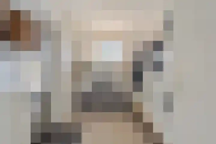 Scholeksterlaan 8 Wieringerwaard thumbnail 21