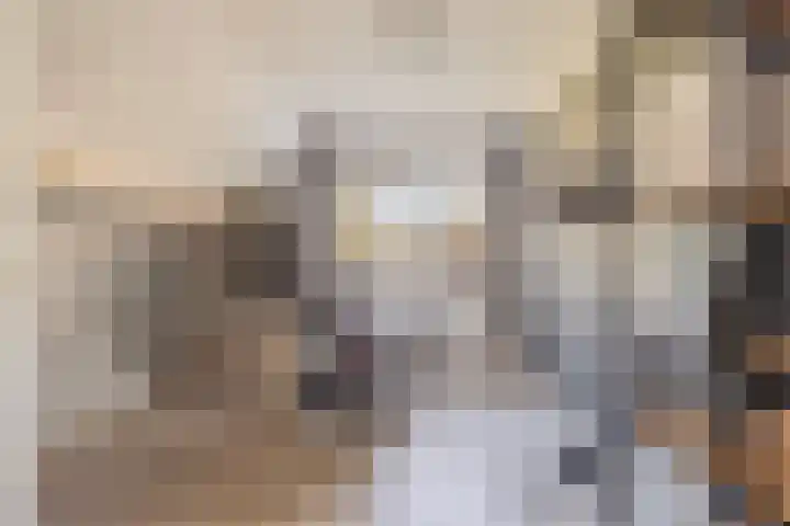 Scholeksterlaan 8 Wieringerwaard thumbnail 30