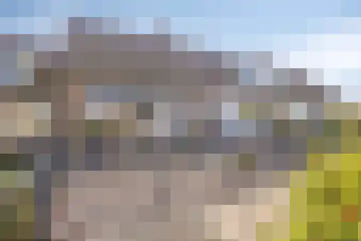 Scholeksterlaan 8 Wieringerwaard thumbnail 38