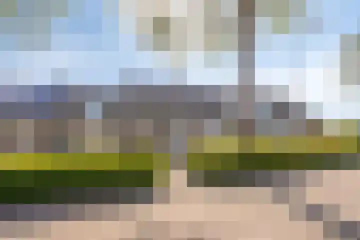 Scholeksterlaan 8 Wieringerwaard thumbnail 5