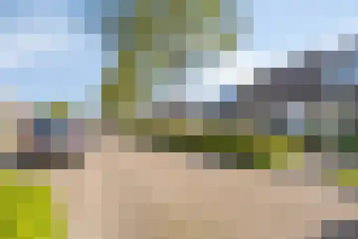 Scholeksterlaan 8 Wieringerwaard thumbnail 6
