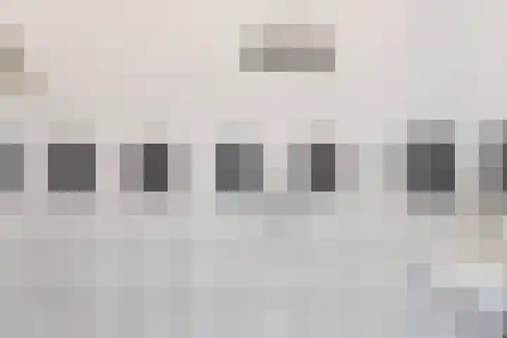 Scholeksterlaan 8 Wieringerwaard thumbnail 9