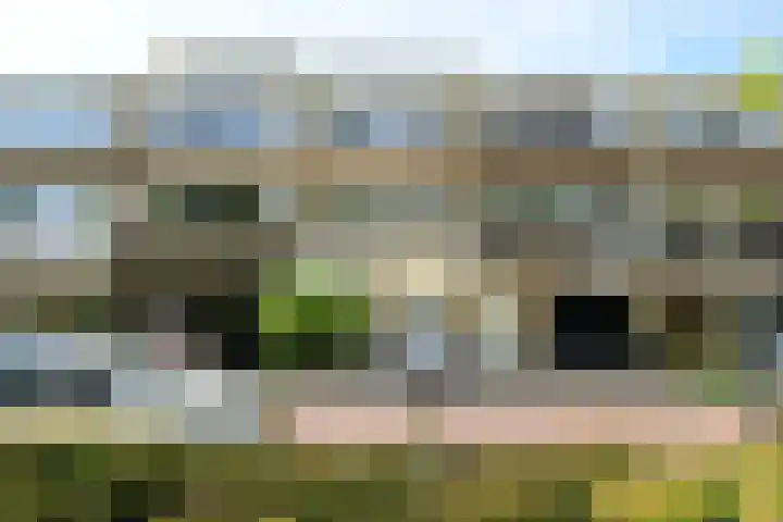 Scholeksterlaan 82 in Vinkeveen