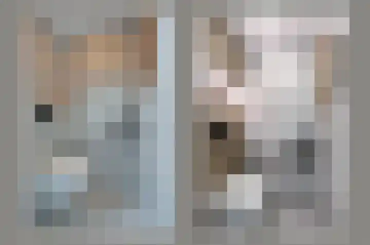 Scholeksterlaan 82 Vinkeveen thumbnail 15