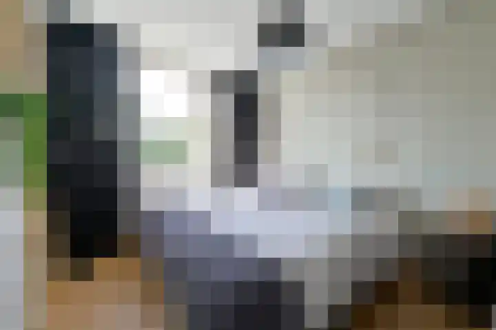 Scholeksterlaan 82 Vinkeveen thumbnail 18
