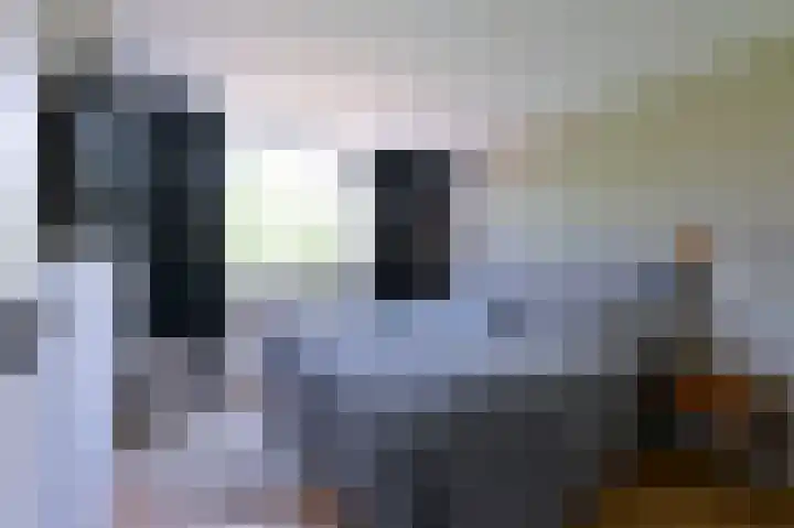 Scholeksterlaan 82 Vinkeveen thumbnail 20