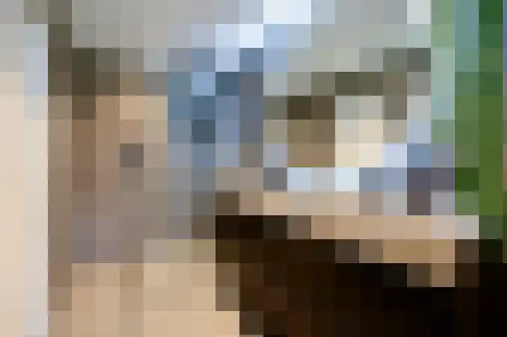 Scholeksterlaan 82 Vinkeveen thumbnail 21