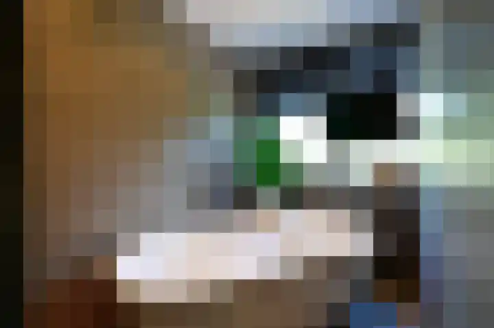 Scholeksterlaan 82 Vinkeveen thumbnail 23