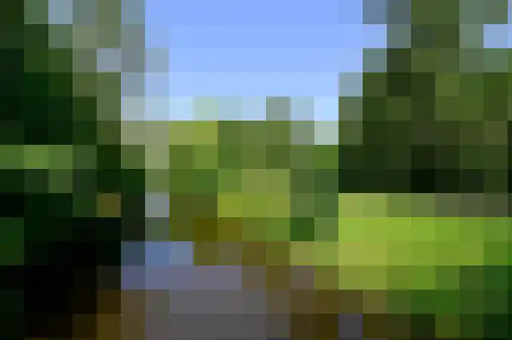 Scholeksterlaan 82 Vinkeveen thumbnail 25