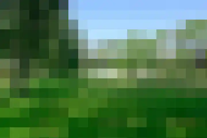 Scholeksterlaan 82 Vinkeveen thumbnail 26