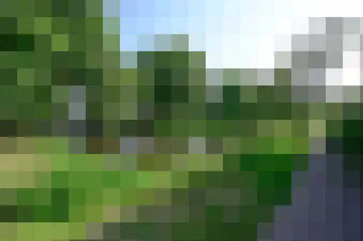 Scholeksterlaan 82 Vinkeveen thumbnail 27