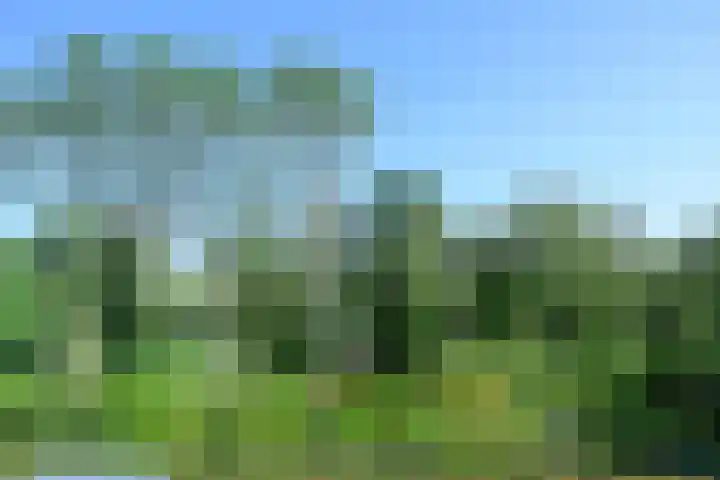Scholeksterlaan 82 Vinkeveen thumbnail 28