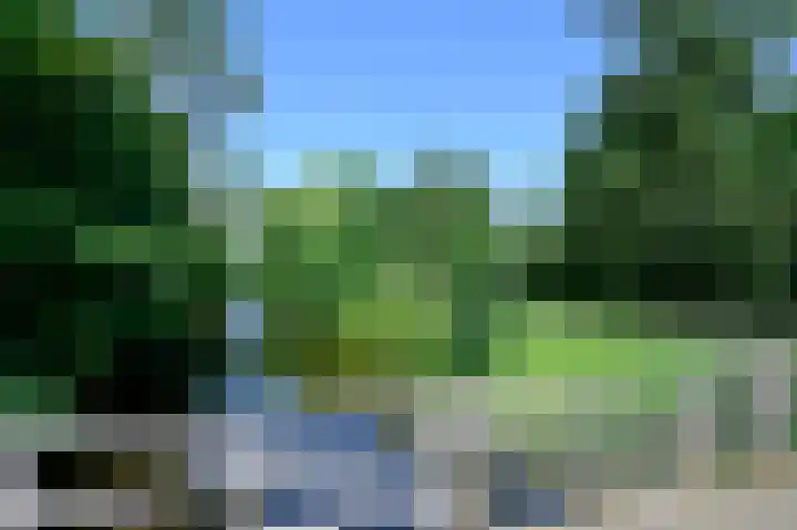 Scholeksterlaan 82 Vinkeveen thumbnail 30