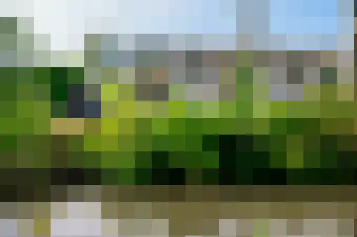 Scholeksterlaan 82 Vinkeveen thumbnail 31